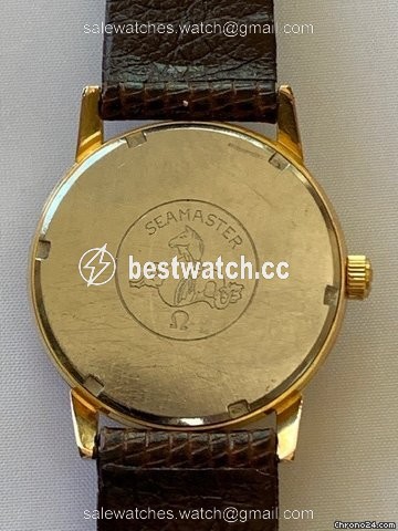 IMG_9086 Omega Seamaster Mens watch Unisex Manual winding Gold Steel 136.012 3