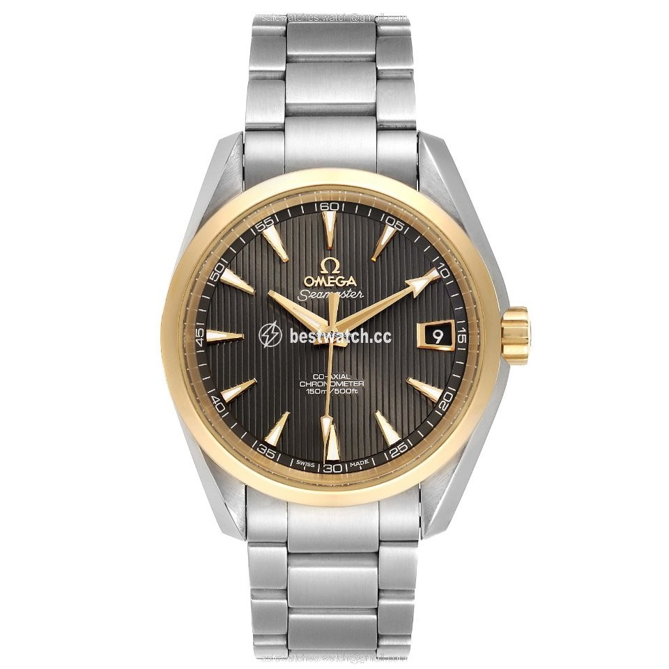 Omega Seamaster Aqua Terra Mens watch Unisex Automatic Steel 231.20.39.21.06.004 3