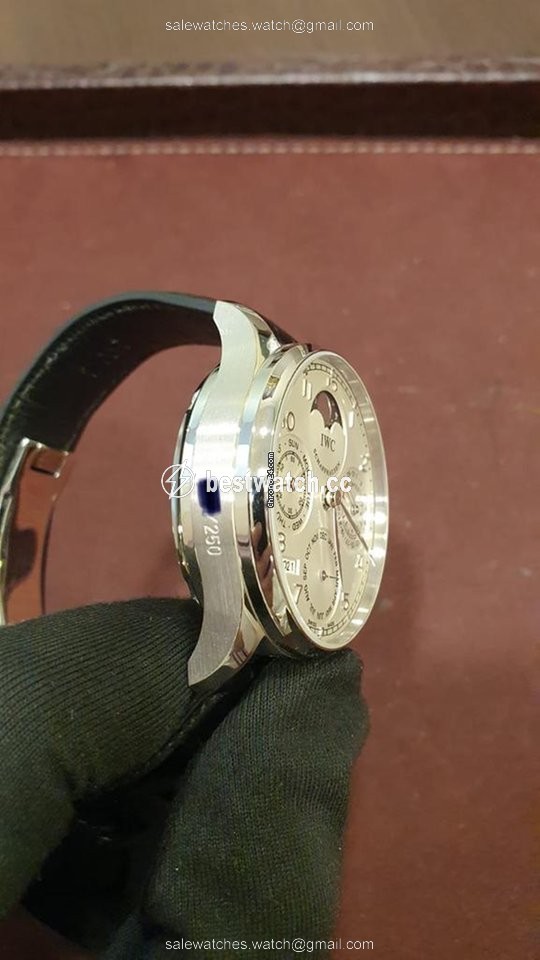 IWC Portuguese Perpetual Calendar Mens watch Unisex Automatic Platinum IW502305 3