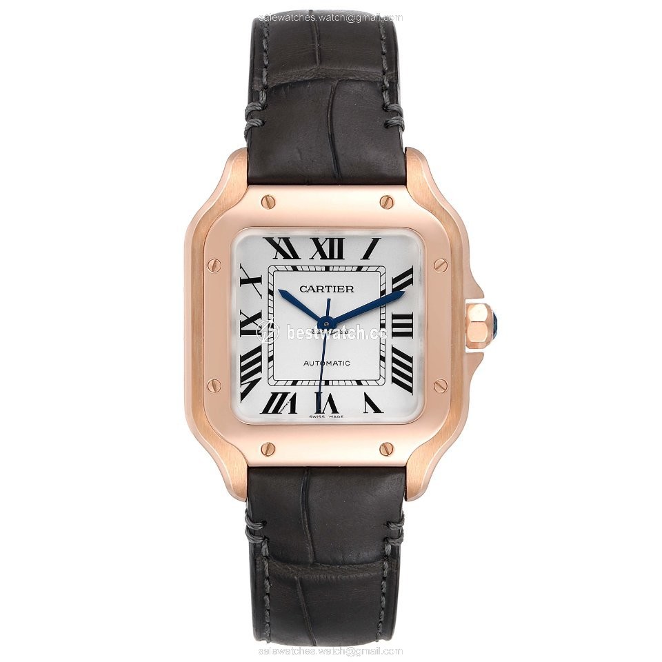 IMG_9086 Cartier Santos Mens watch Unisex Automatic WGSA0012 3
