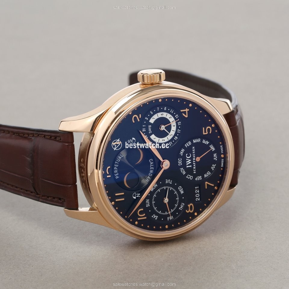 IMG_9086 IWC Portuguese Perpetual Calendar Mens watch Unisex Automatic Rose gold IW502103 3