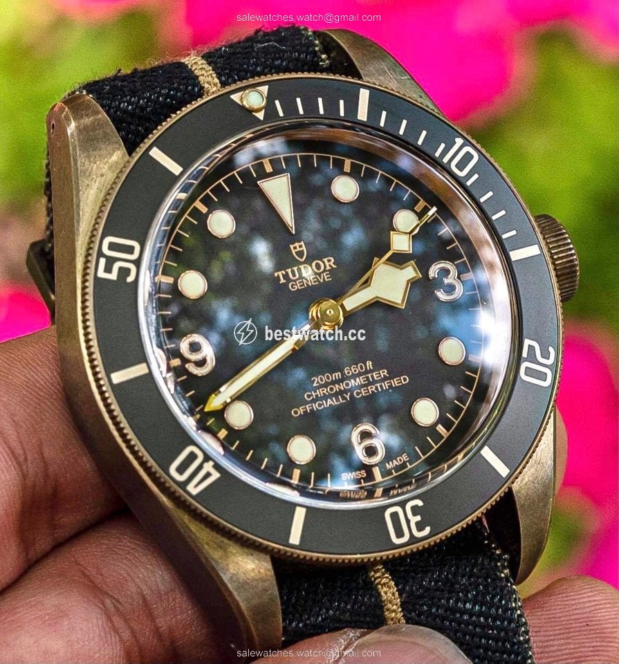 IMG_9086 Tudor Black Bay Bronze Mens watch Unisex Automatic Bronze M79250BA 3