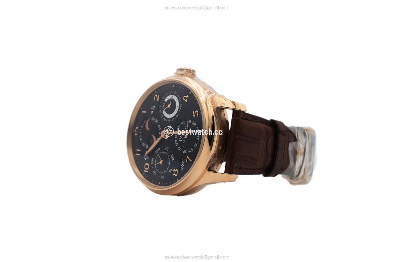 IMG_9086 IWC Portuguese Perpetual Calendar Mens watch Unisex Automatic Rose gold IW503202 3