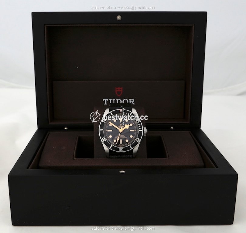IMG_9086 Tudor Black Bay Mens watch Unisex Automatic Steel 79230N-0001 3