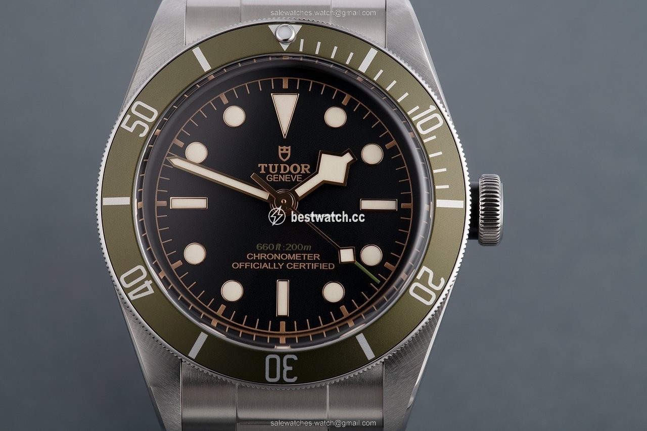 Tudor Black Bay Automatic Steel 79230G 3