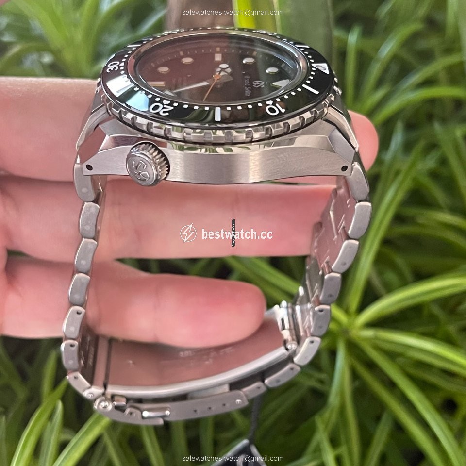IMG_9086 Seiko Grand Seiko Mens watch Unisex Automatic Titanium SBGH255 3