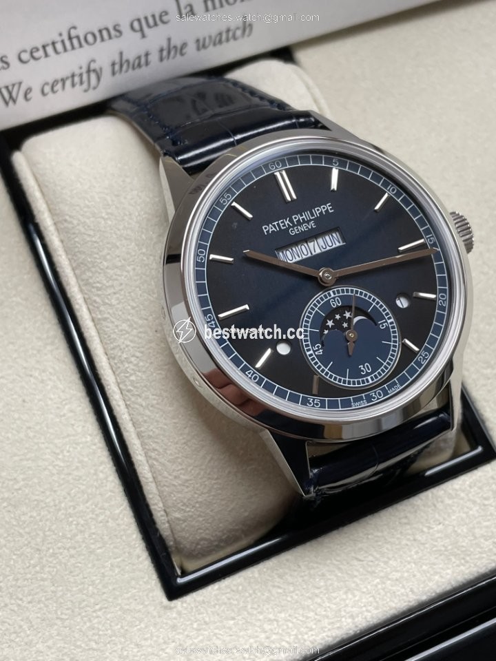IMG_9086 Patek Philippe Perpetual Calendar Platinum 5236P-001 3