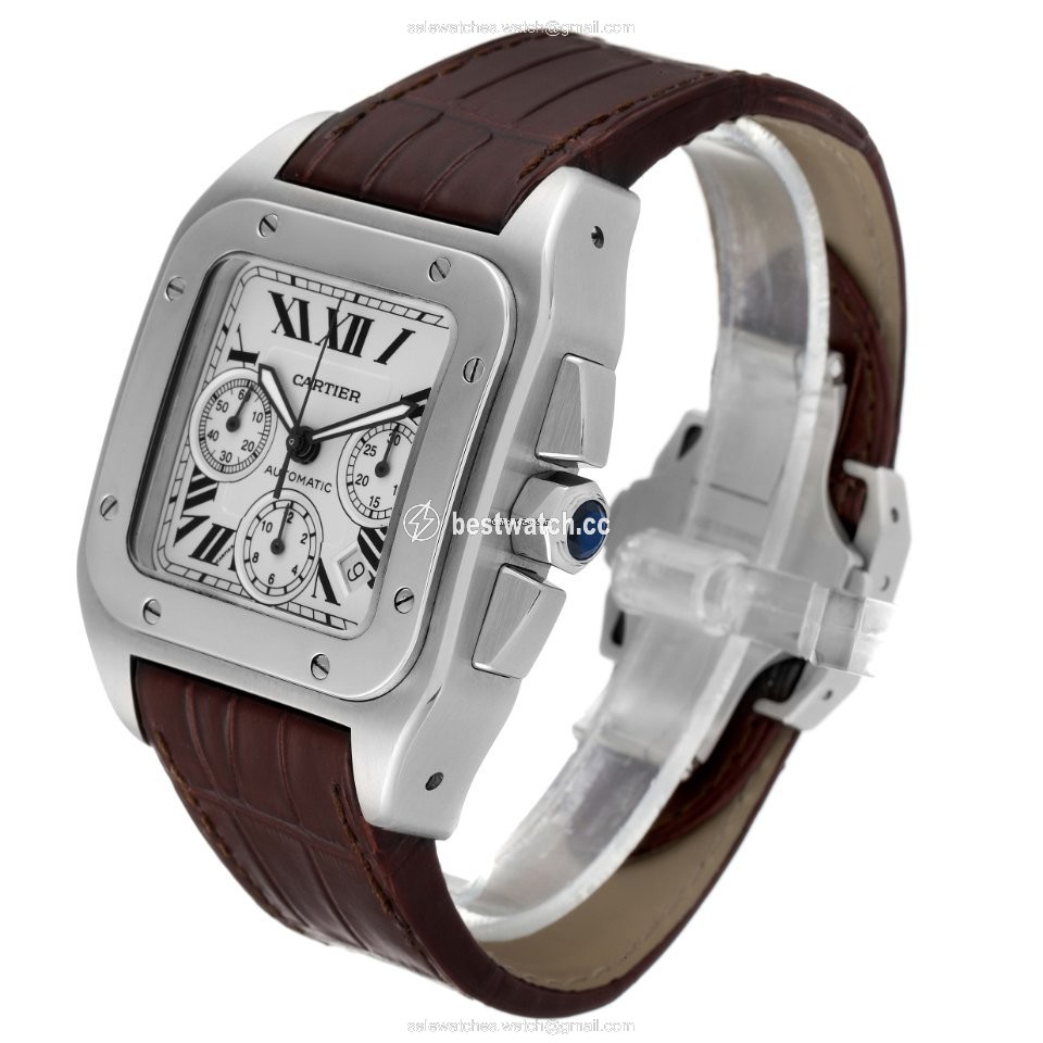 IMG_9086 Cartier Santos 100 Mens watch Unisex Automatic W20090X8 3