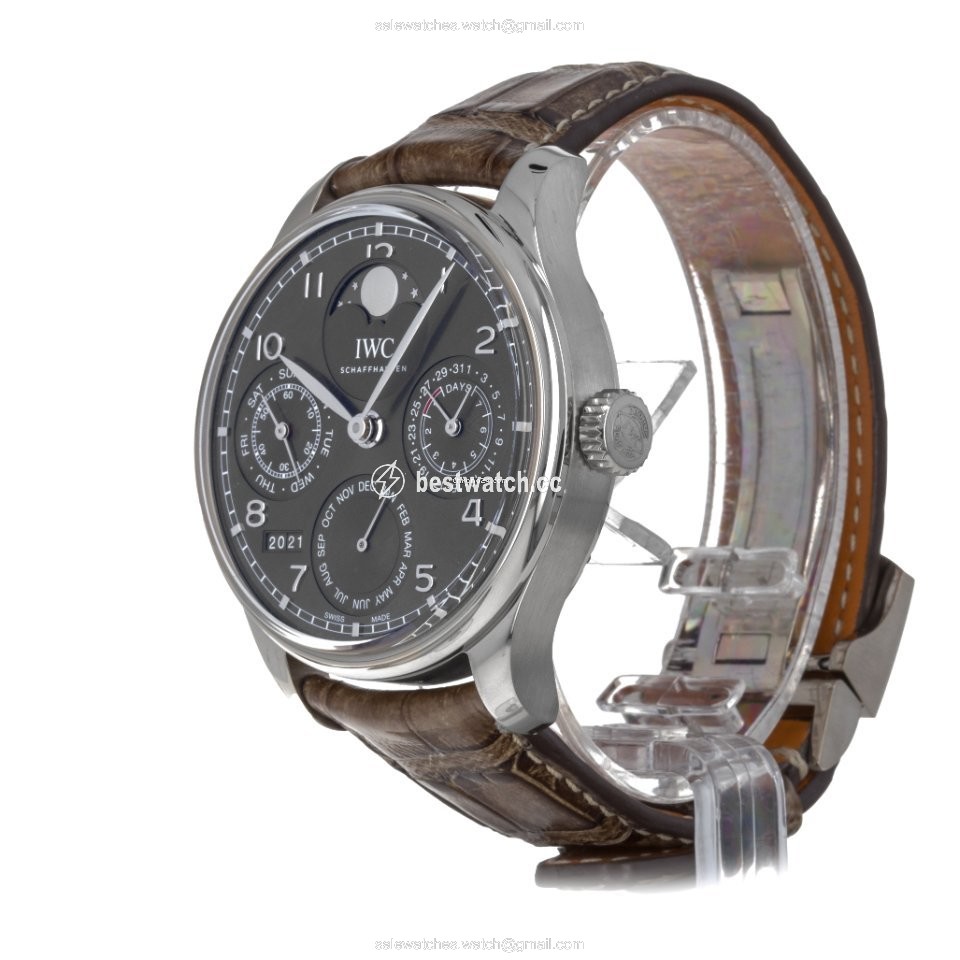 IMG_9086 IWC Portuguese Perpetual Calendar Mens watch Unisex Automatic White gold IW503301 3