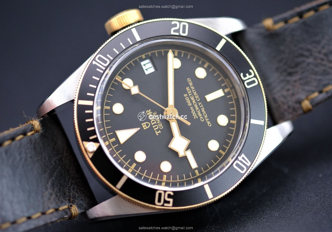 IMG_9086 Tudor Black Bay S&G Mens watch Unisex Automatic Steel 79733N-0001 3