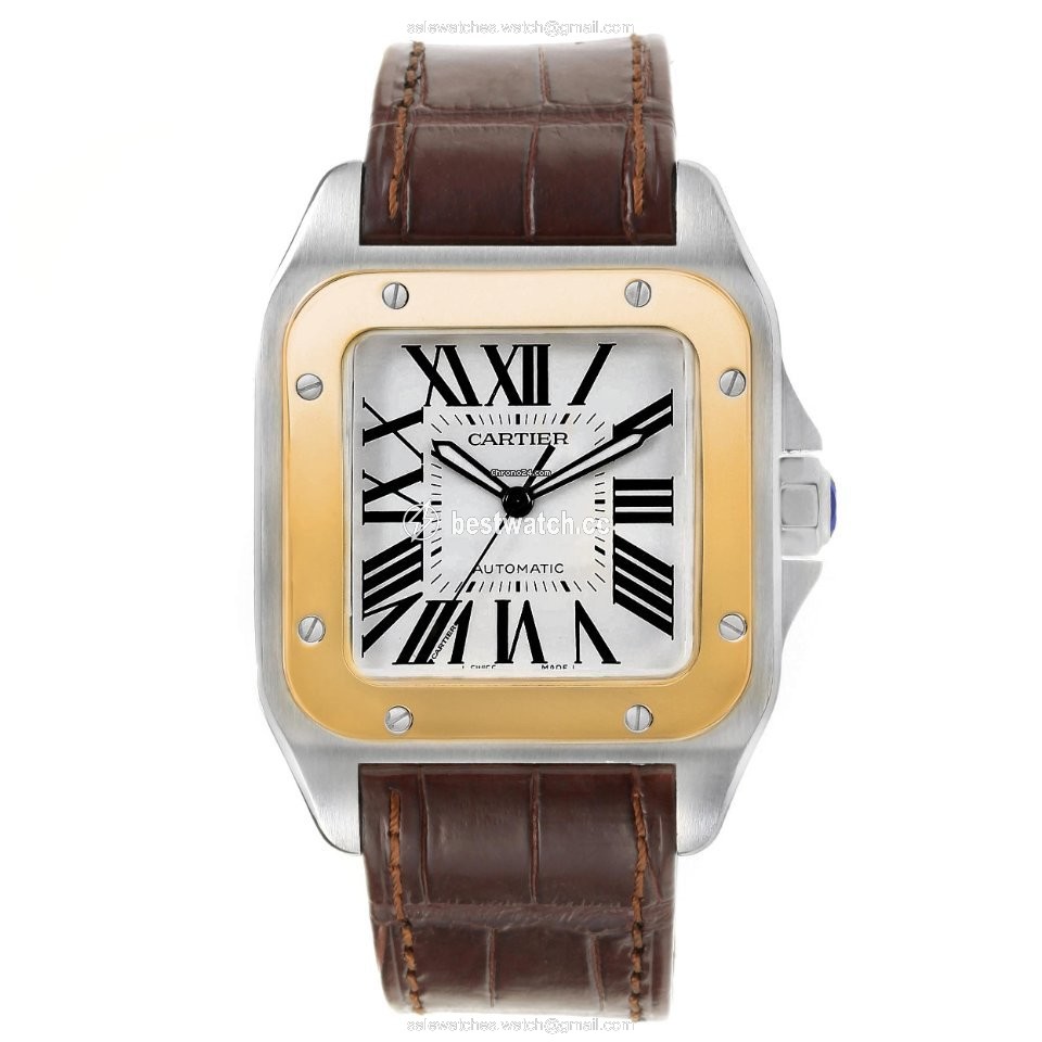 Cartier Santos 100 Mens watch Unisex Automatic Steel W20072X7 3