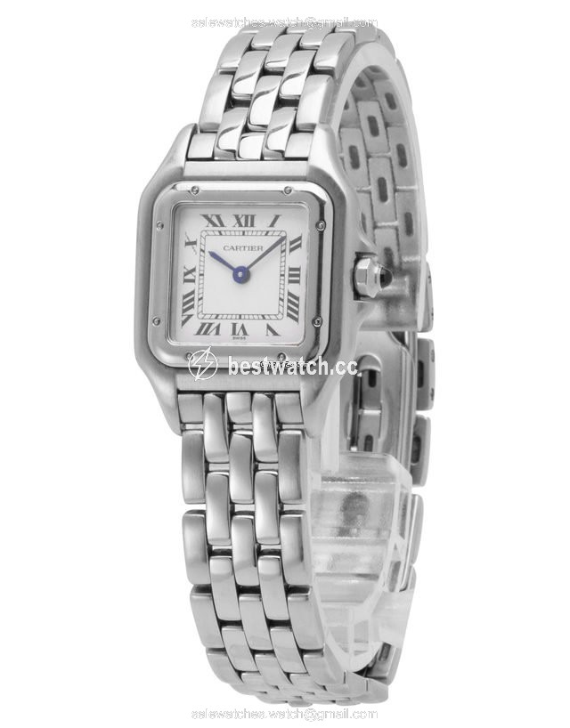 IMG_9086 Cartier Panthere Mens watch Unisex Quartz Steel W25033P5 1320 3
