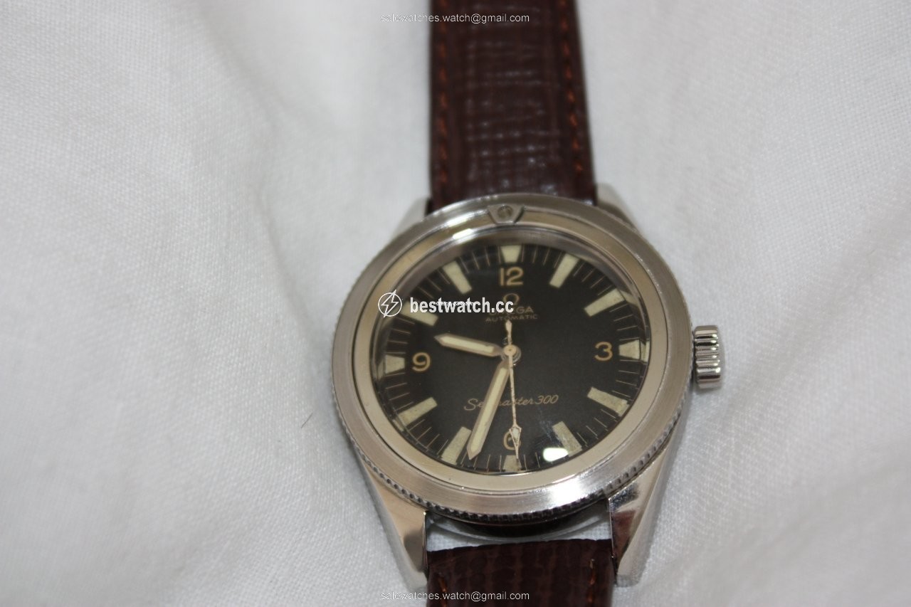 IMG_9086 Omega Seamaster 300 Mens watch Unisex Automatic Steel 165.014 3