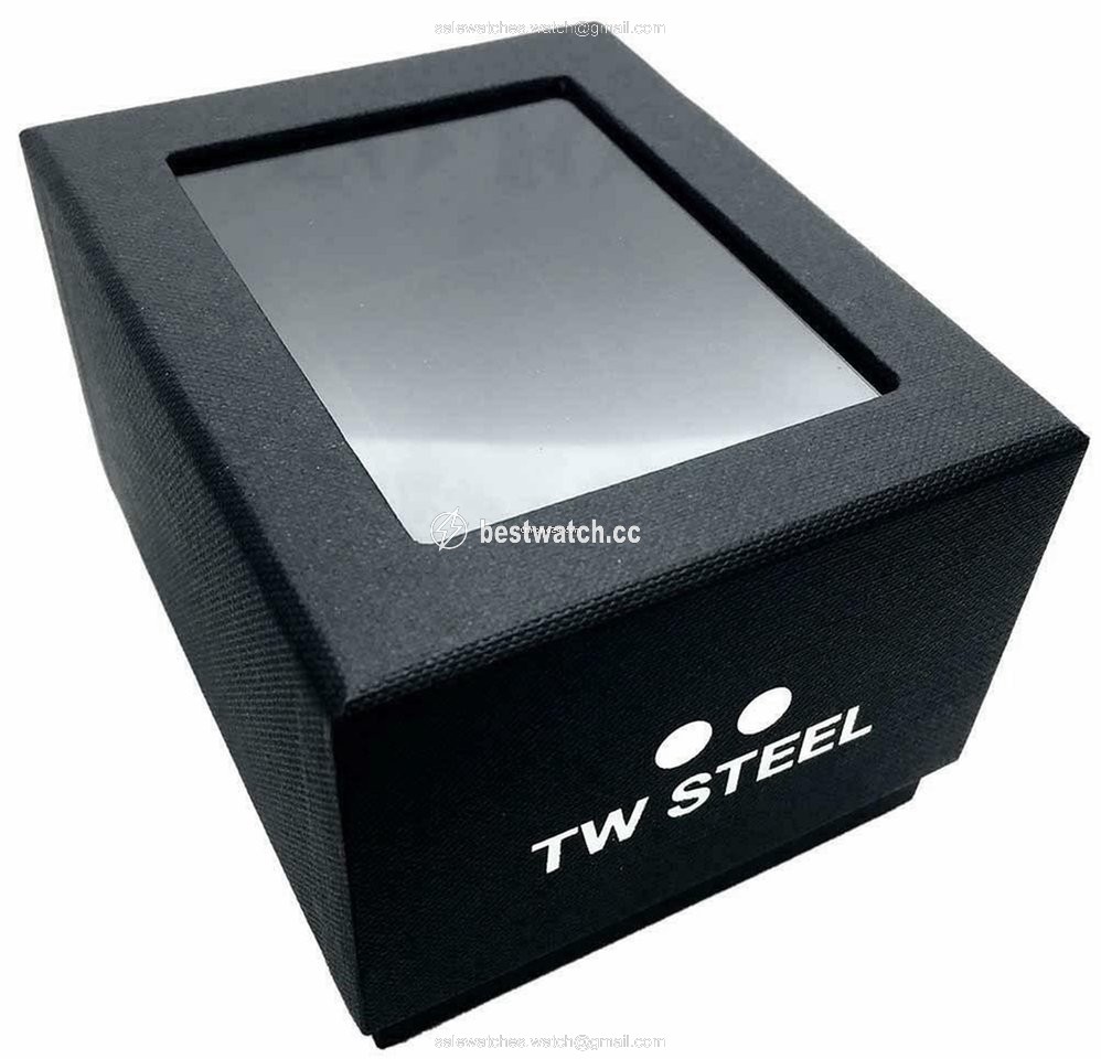IMG_9086 TW Steel Quartz Steel TS13 TS13 3