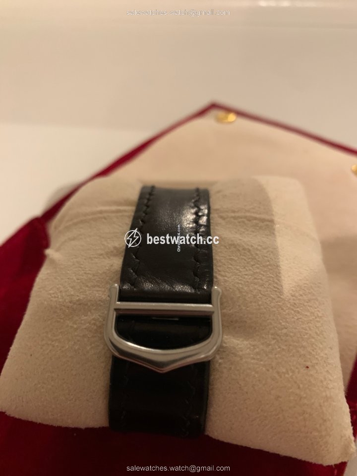 IMG_9086 Cartier 21 Must de Cartier Mens watch Unisex Automatic Steel W10147U2 3