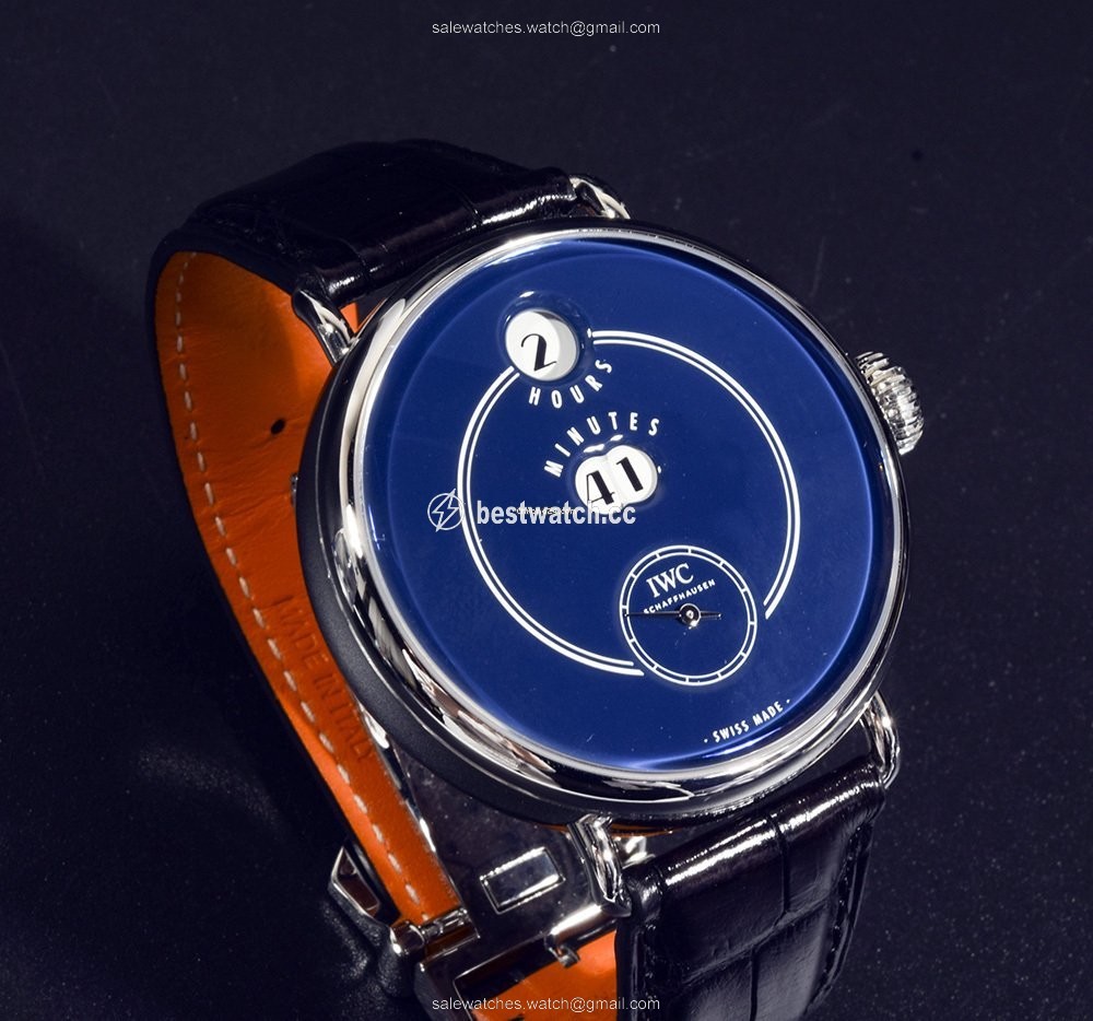 IMG_9086 IWC Mens watch Unisex Manual winding Steel IW505003 3