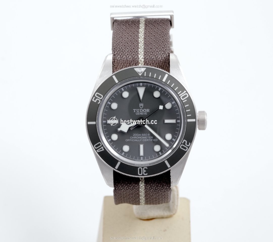 IMG_9086 Tudor Black Bay Fifty-Eight Mens watch Unisex Automatic Silver M79010SG-0002 3