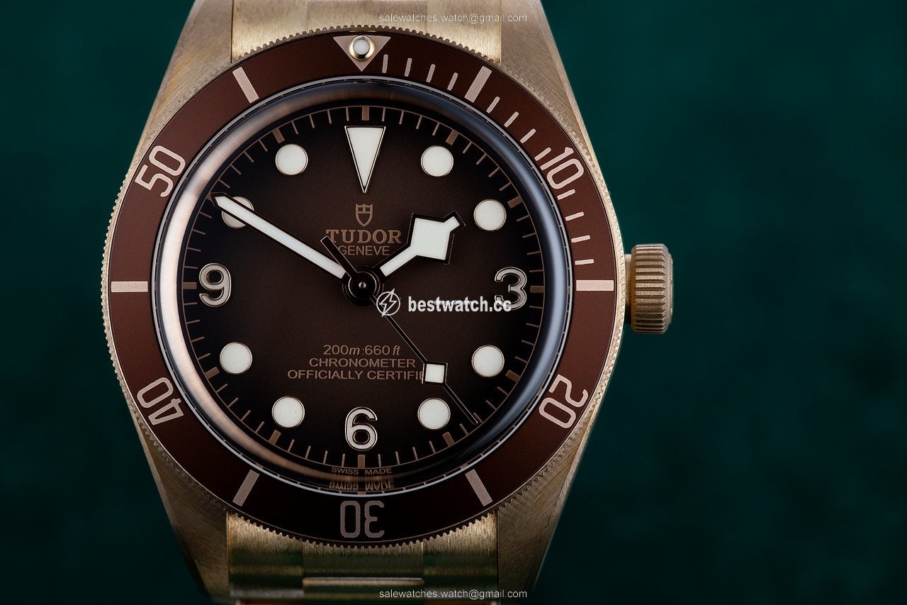 IMG_9086 Tudor Black Bay Bronze Automatic Bronze 79012M 3