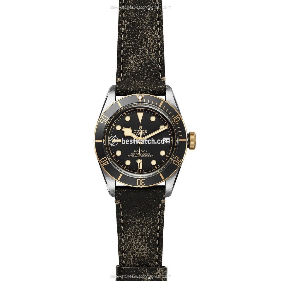 IMG_9086 Tudor Black Bay S&G Mens watch Unisex Automatic Steel M79733N-0007 3