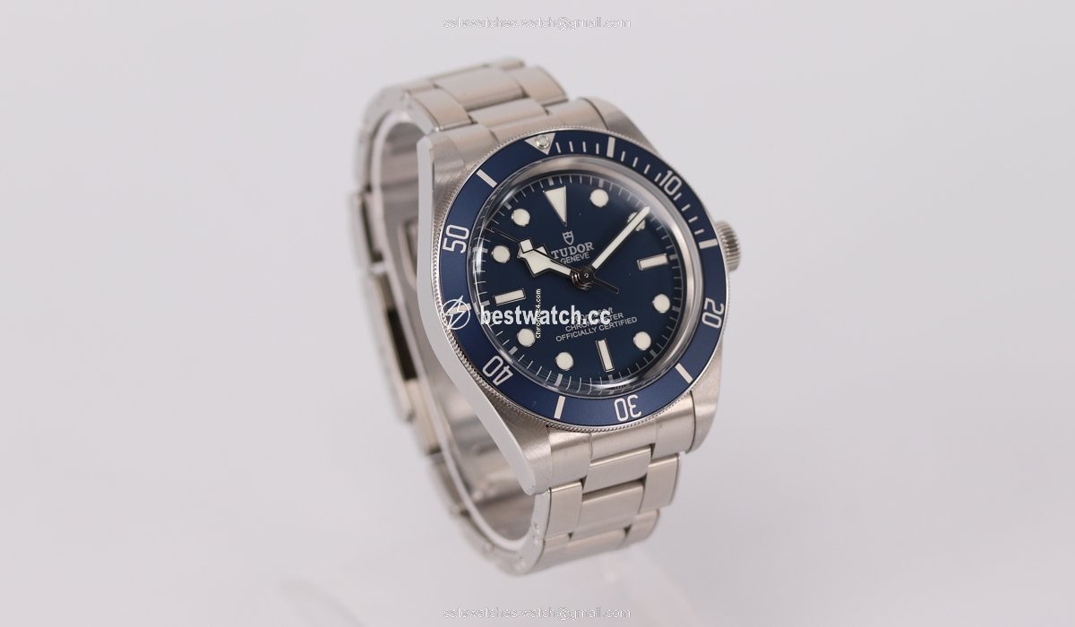 IMG_9086 Tudor Black Bay Fifty-Eight Automatic Steel M79030B 3