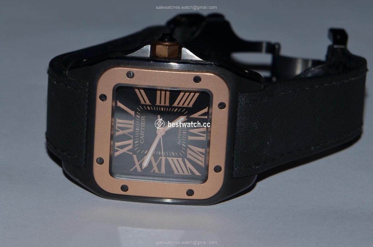 Cartier Santos 100 Mens watch Unisex Automatic Steel W2020007 3
