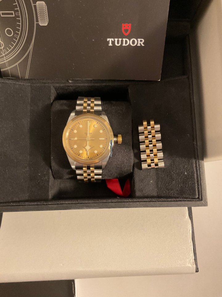 IMG_9081 Tudor Mens watch Unisex Automatic Gold Steel 79503-0002 Replica 4