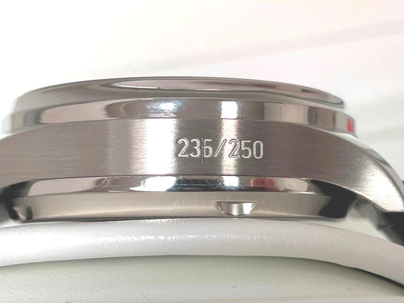 IMG_9081 IWC Portuguese Perpetual Calendar Mens watch Unisex Automatic Platinum IW5022-19 Replica 4
