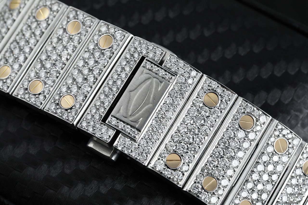 IMG_9081 Cartier Santos Mens watch Unisex Automatic Steel W2SA0008 Replica 5