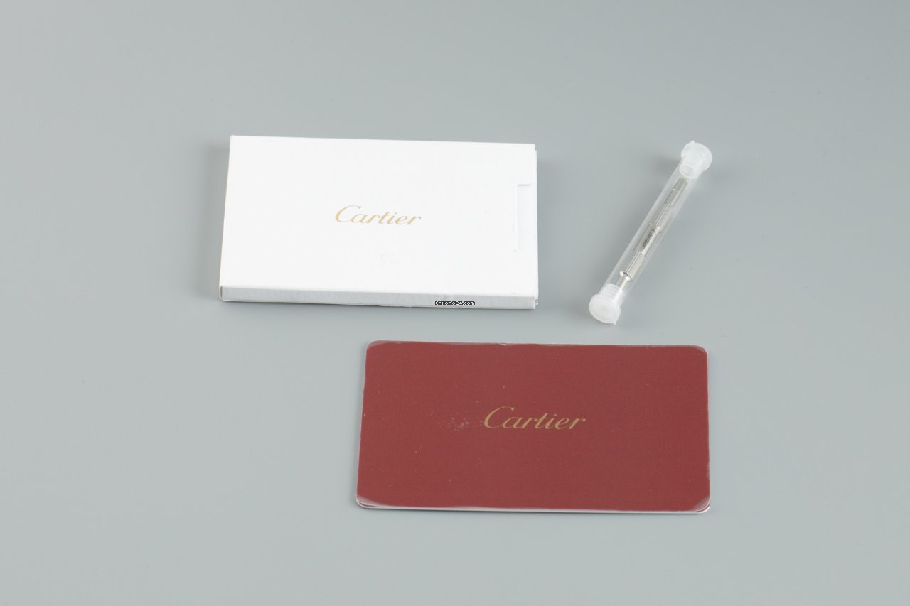 IMG_9081 Cartier Santos Mens watch Unisex Automatic Red gold WGSA0011 Replica 5