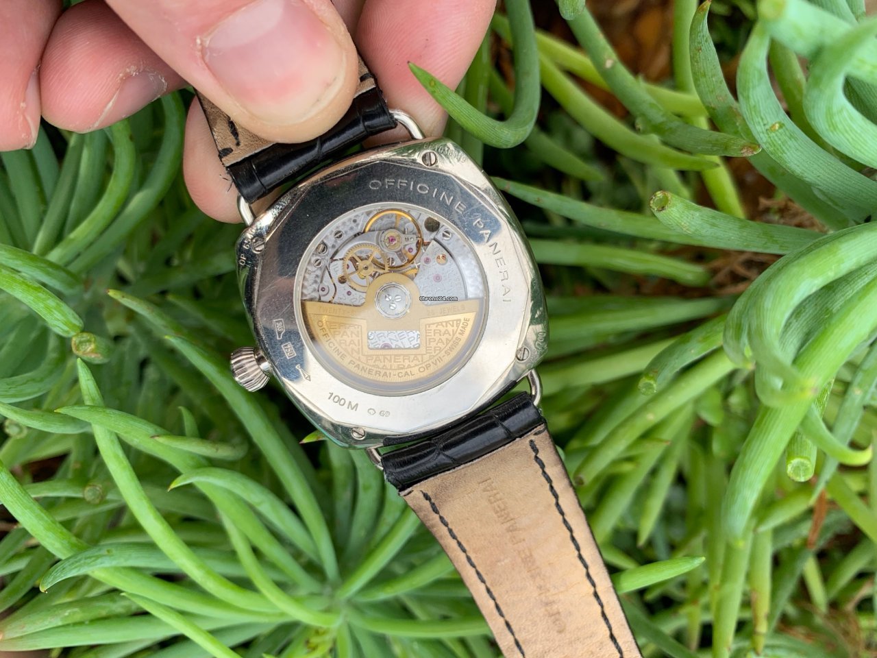 IMG_9081 Panerai Radiomir Mens watch Unisex Automatic White gold PAM 00062 Replica 6