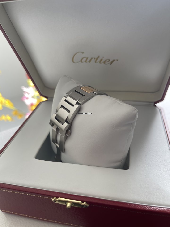 Cartier Ballon Bleu 42mm Mens watch Unisex Automatic Gold Steel W2BB0004 Replica 6