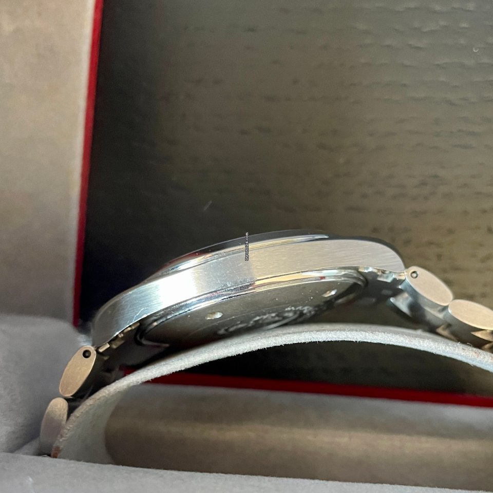 Omega Seamaster Aqua Terra Mens watch Unisex Quartz Steel 2517.30.00 Replica 6