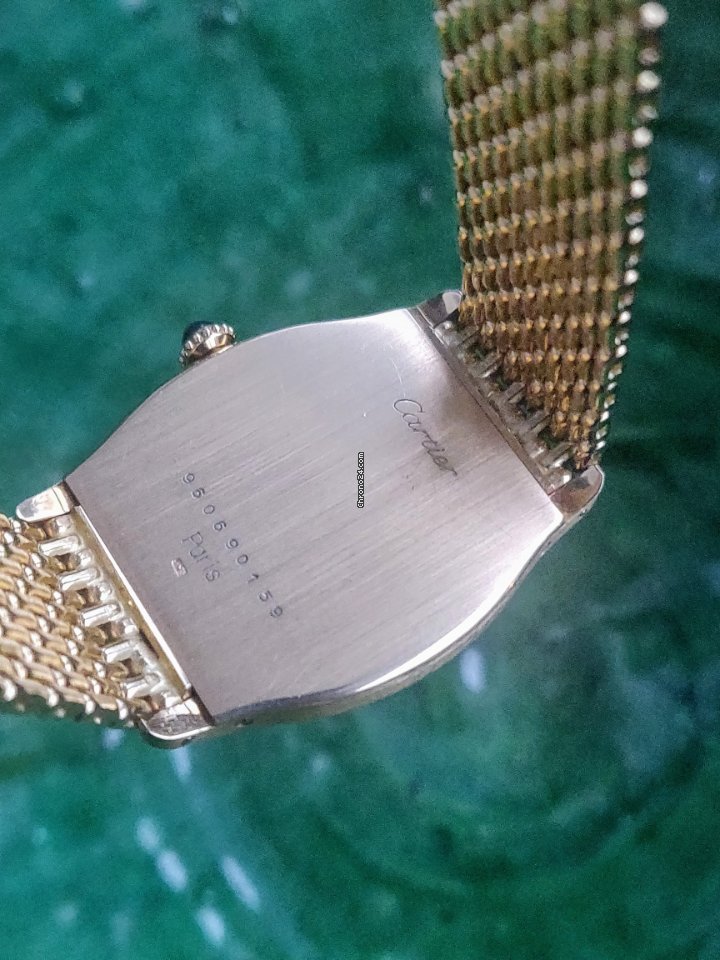 IMG_9081 Cartier Tortue Mens watch Unisex Manual winding Yellow gold 96069 Replica 7