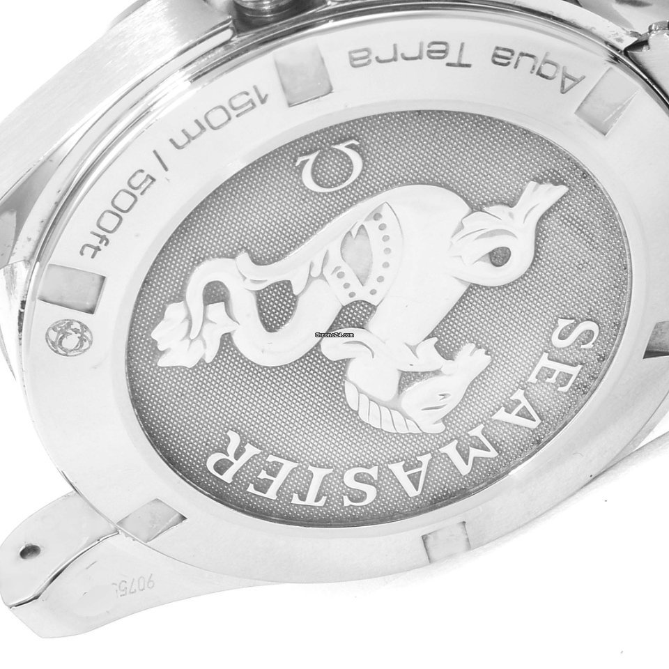 Omega Seamaster Aqua Terra Mens watch Unisex Quartz Steel 231.10.39.61.02.001 Replica 7