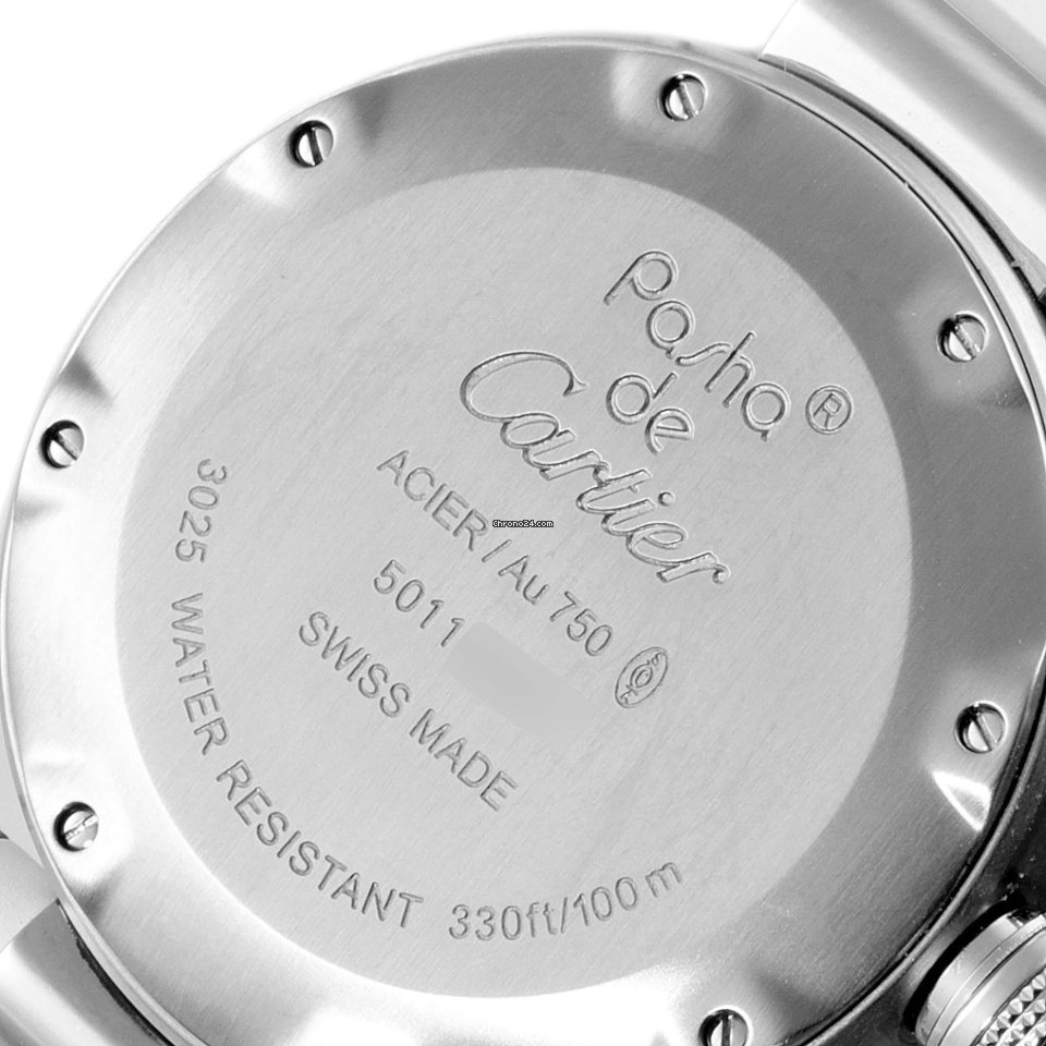 IMG_9081 Cartier Pasha Seatimer Mens watch Unisex Quartz Steel W3140001 Replica 7