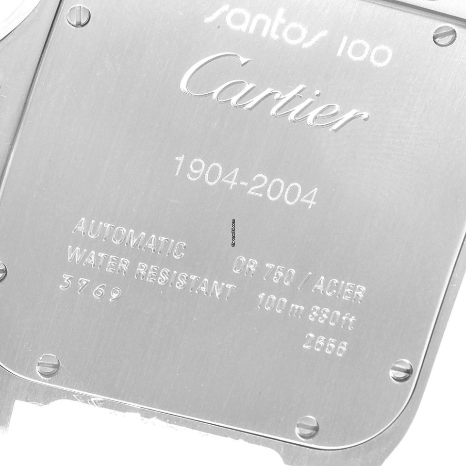 Cartier Santos 100 Mens watch Unisex Automatic Steel W20072X7 Replica 7