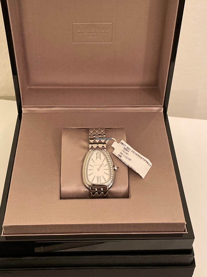 IMG_9081 Bulgari Serpenti Womens watch Quartz Steel 103141 Replica 7
