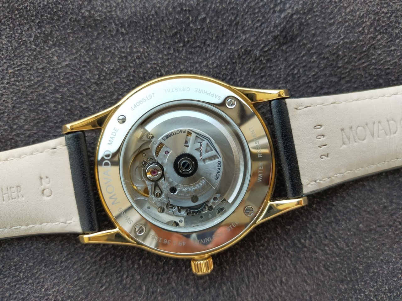 Movado Museum Mens watch Unisex Automatic Gold Steel 491361261 Replica 7