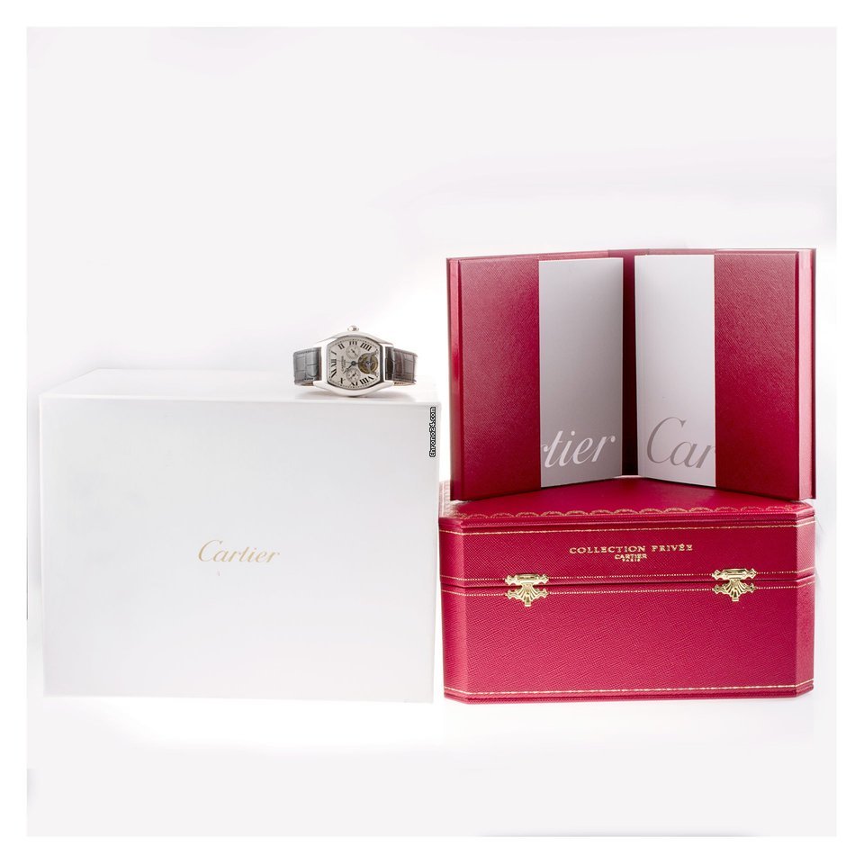 IMG_9081 Cartier Tortue Mens watch Unisex Manual winding Platinum W1545751 Replica 8