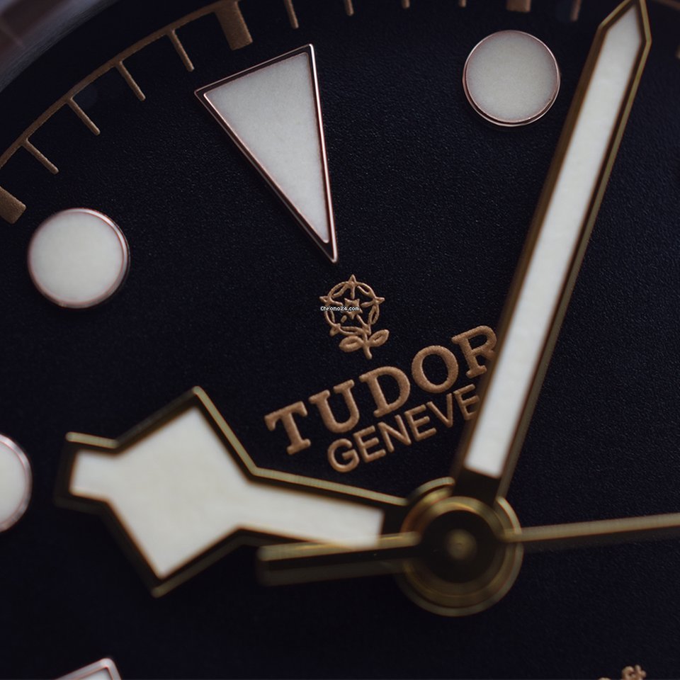 IMG_9081 Tudor Black Bay Mens watch Unisex Automatic Steel 79220R Replica 8