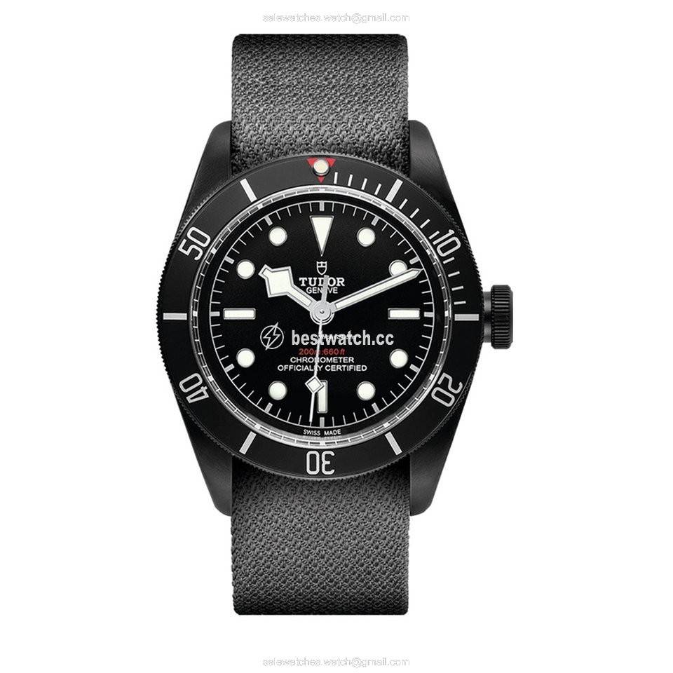 Tudor Black Bay Dark Automatic Steel M79230DK-0006