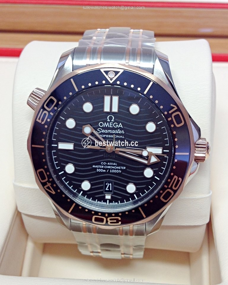 Omega Seamaster Diver 300 M Mens watch Unisex Automatic Gold Steel 210.20.42.20.01.001