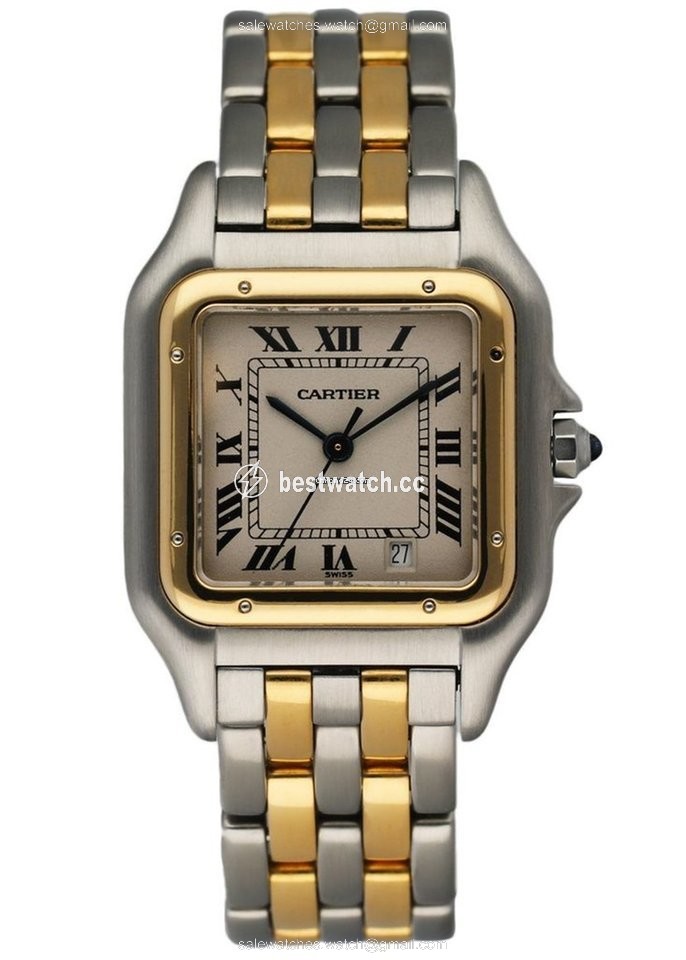Cartier Panthere Womens watch Quartz Steel 1100